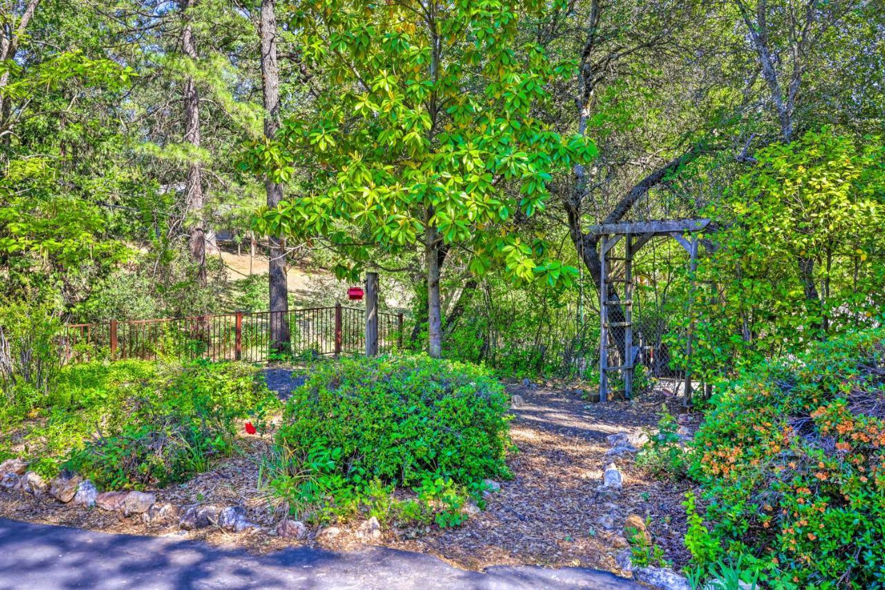 Beautiful Cottage, Steps To Downtown Murphys! エクステリア 写真