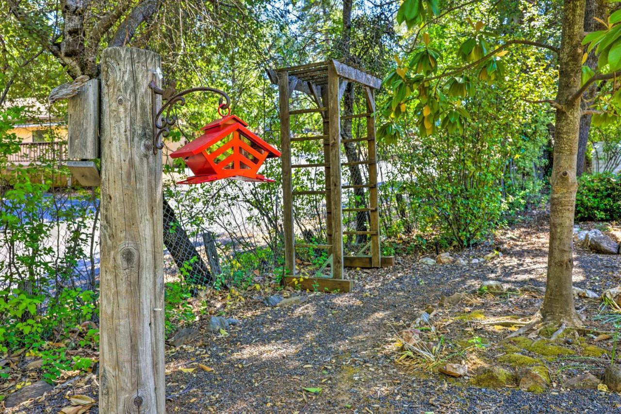 Beautiful Cottage, Steps To Downtown Murphys! エクステリア 写真
